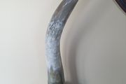 Antique / vintage pair whitehorns