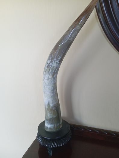 Antique / vintage pair whitehorns