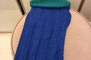 Medium dog jumper