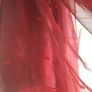 Scarlet Scarf Image 2
