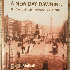 A New Day Dawning: A Portrait Of Ireland In 1900 by Daniel Mulhall