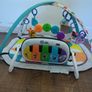 baby Einstein play gym Image 4