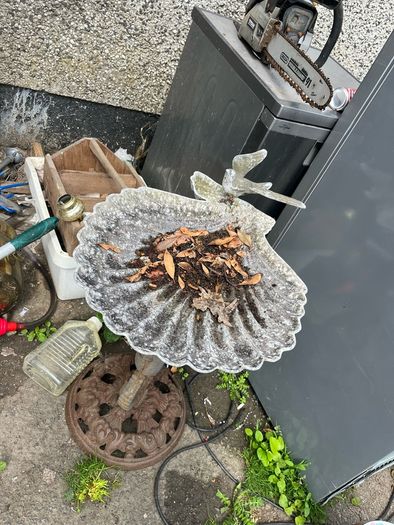 bird bath