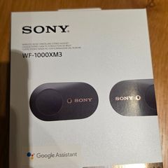 sony earphones