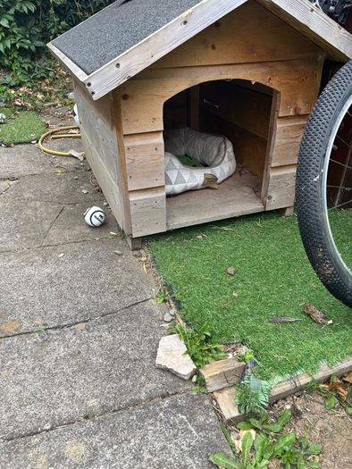 Wooden dog kennel