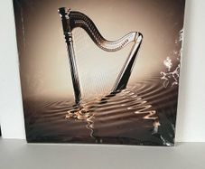 Guinness picture, new, rrp 60