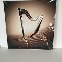 Guinness picture, new, rrp 60