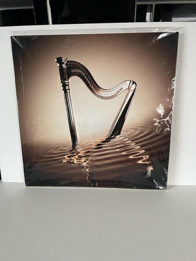 Guinness picture, new, rrp 60