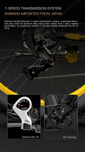 Lankeleisi Xf4000 Electric Bike