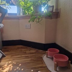 Pink ceramic pet bowl set with wooden stand (brand new)