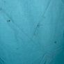 4 Man Tent Image 9