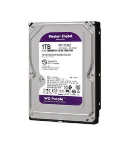 Western Digital Purple 1TB Surveillance 3.5 Inch SATA 6 Gb/s Hard Disk Drive with Allframe 4K Technology