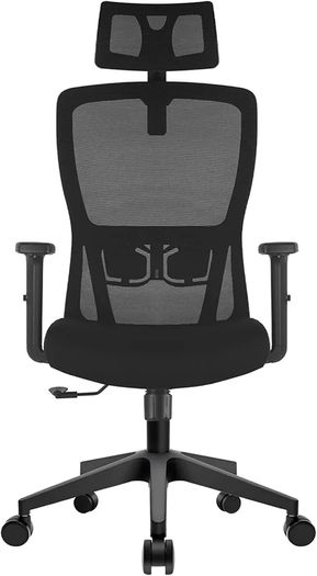 Office Chair, Desk Chair with Adjustable Headrest, Lumbar support and Liftable Armrest, High Back Ergonomic Office Chair, Breathable Mesh Backrest for Comfy, Computer Chair for Home/Office