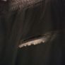 Ladies trousers BRAND NEW Velvet Image 2