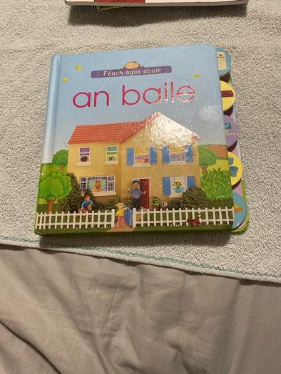Irish language children's book