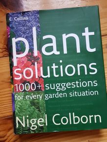 Plant Solutions Nigel Colborn