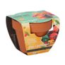 Bizzy Grow Gifts Mini Pots Image 5