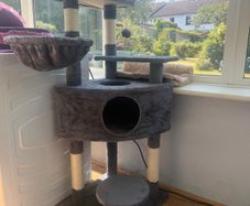 Cat tree