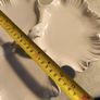 Royal Regal White 3 Section Serving Plate Ornate Canapes Plate Kitchen Image 2