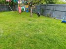 waste removal Image 2