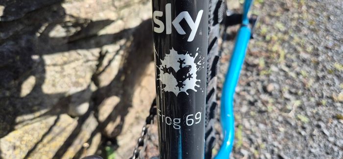 Frog 69 Kids Bike