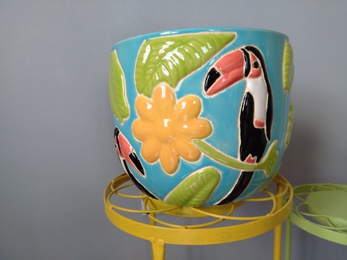 Heavy Ceramic Tropical Plant Pot