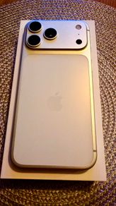 iPhone 17 Pro Max 256GB Silver