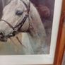 Red rum .arkle and desert orchid picture Image 4