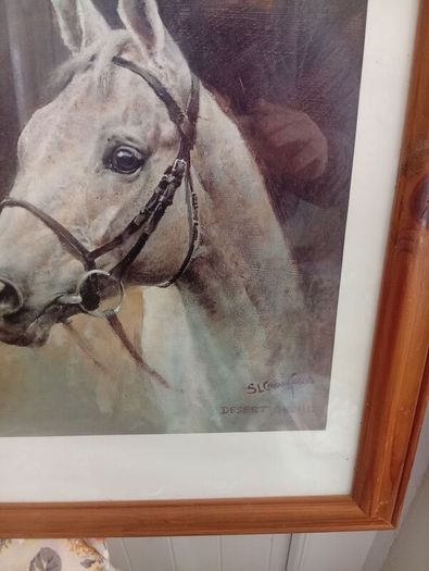 Red rum .arkle and desert orchid picture