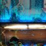 Fish Tank Light Aquarium Submersible Multiple Color Light with air curtain Image 3