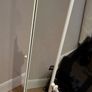 Tall Mirror Image 3