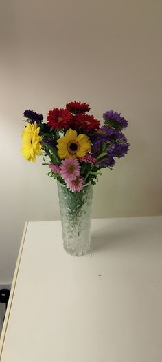 vases