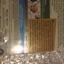 Terms of Endearment 4K Limited Edition American Import Image 6