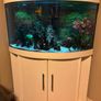 Fish tank 190 Image 2