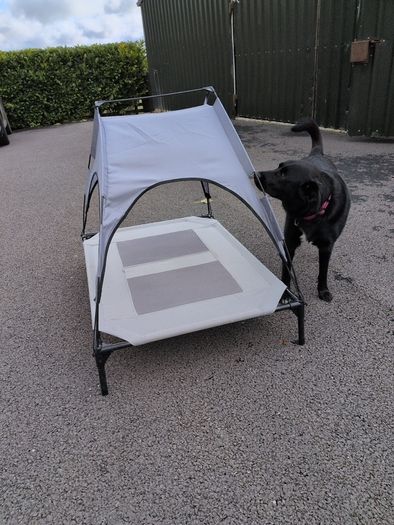 Zoofari Dog bed and shade