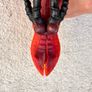 How To Train Your Dragon HookFang Dragon Blaster Action Figure 35 cm. Damaged Head Used Please see photos Image 3