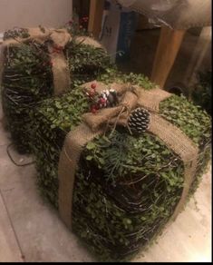 christmas light up