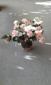 Vintage Artificial Plant.