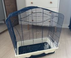 Bird cage and budgie