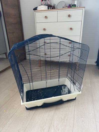 Bird cage and budgie