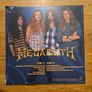 Megadeth Vinyl Bundle Image 6