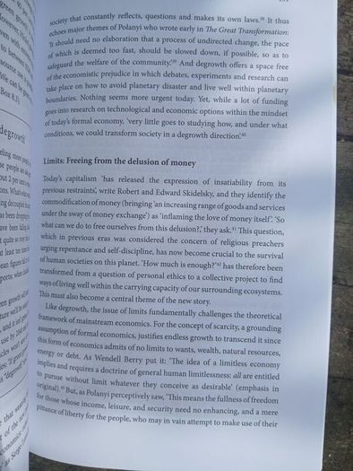 Karl Polyani and the Contemporary Political Crisis