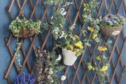 NEW SALE | Wooden Trellis Expandable Plant Trellis Garden Trellis for Climbing,Hanging Wooden Plant Trellis Frame Trellis Fence Support For Climbing Vines Flowers