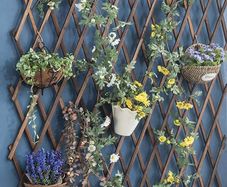 NEW SALE | Wooden Trellis Expandable Plant Trellis Garden Trellis for Climbing,Hanging Wooden Plant Trellis Frame Trellis Fence Support For Climbing Vines Flowers