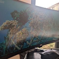 BENQ Ex Series Ultrawide Monitor 35