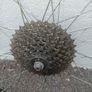 Bike Wheel 26 inch in good condition Image 2