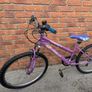 Kids' Junior Mountain Bike Image 2