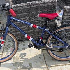 Raleigh Bike