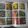 The Colour Dictionary Of Garden Plants Image 3