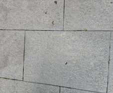100 patio slabs free to take away